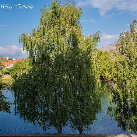 Smjestaj Miljas Trebinje Hotel Bagian luar foto