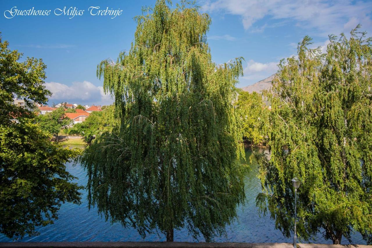Smjestaj Miljas Trebinje Hotel Bagian luar foto